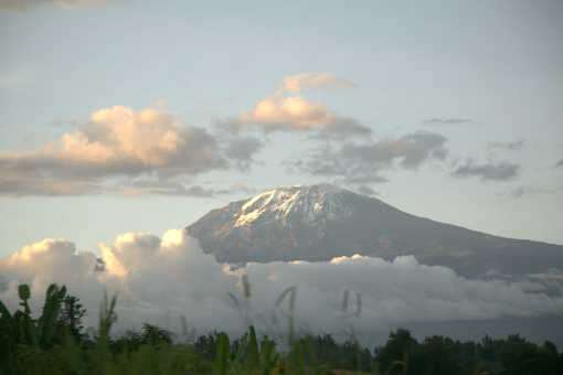 Mt Kilimanjaro